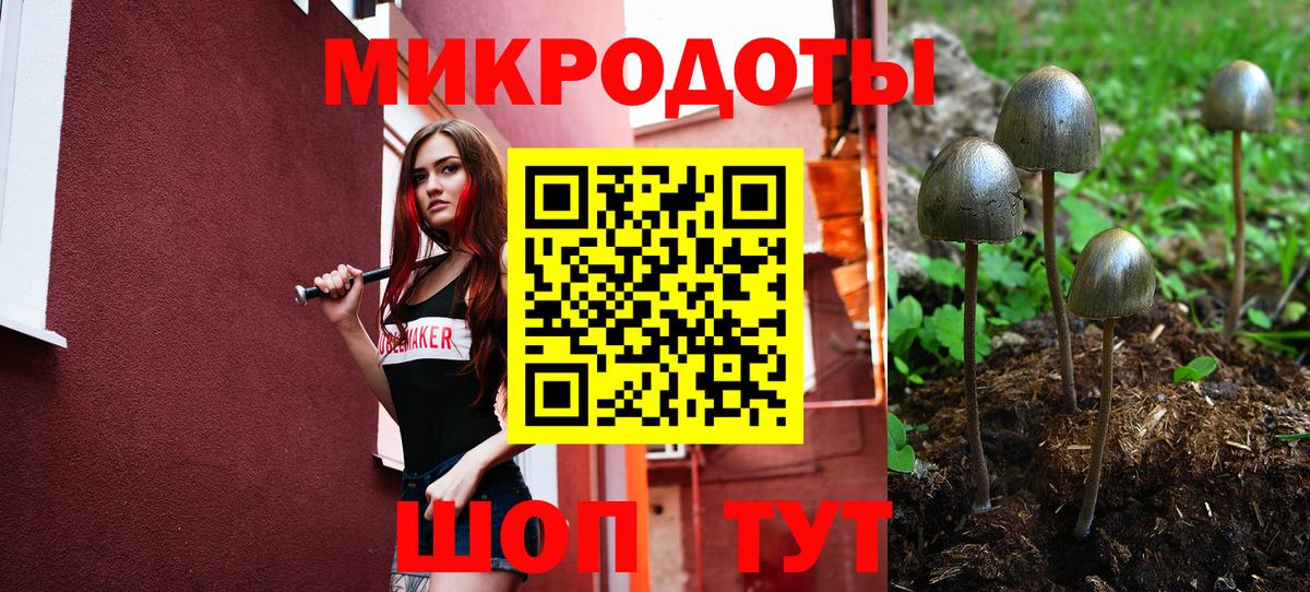Галлюциногенные грибы мухоморы  Вход с VPN  Чехов 